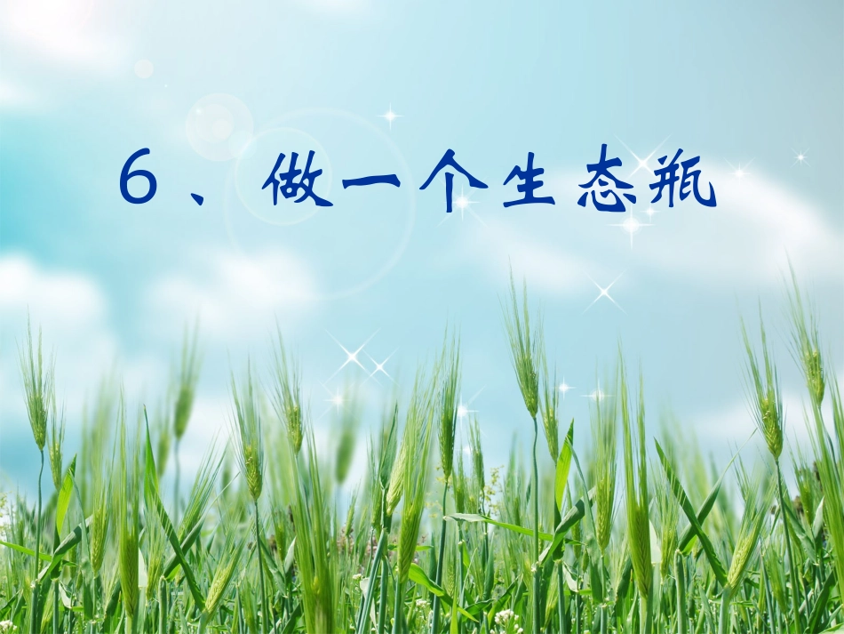 做一个生态瓶_第1页