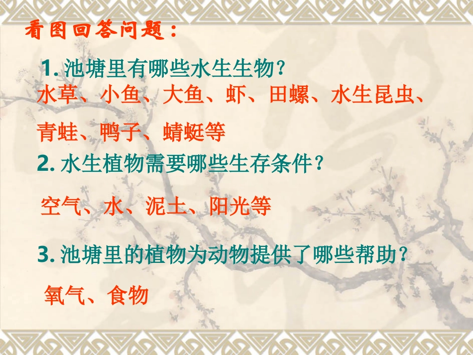 做一个生态瓶_第3页