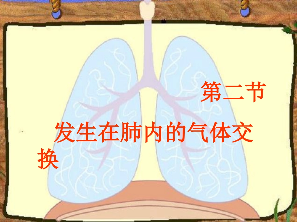 第二节发生在肺内的气体交换2_第1页