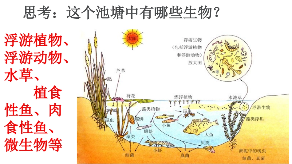 群落的结构 ()_第3页