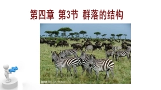 群落的结构 ()