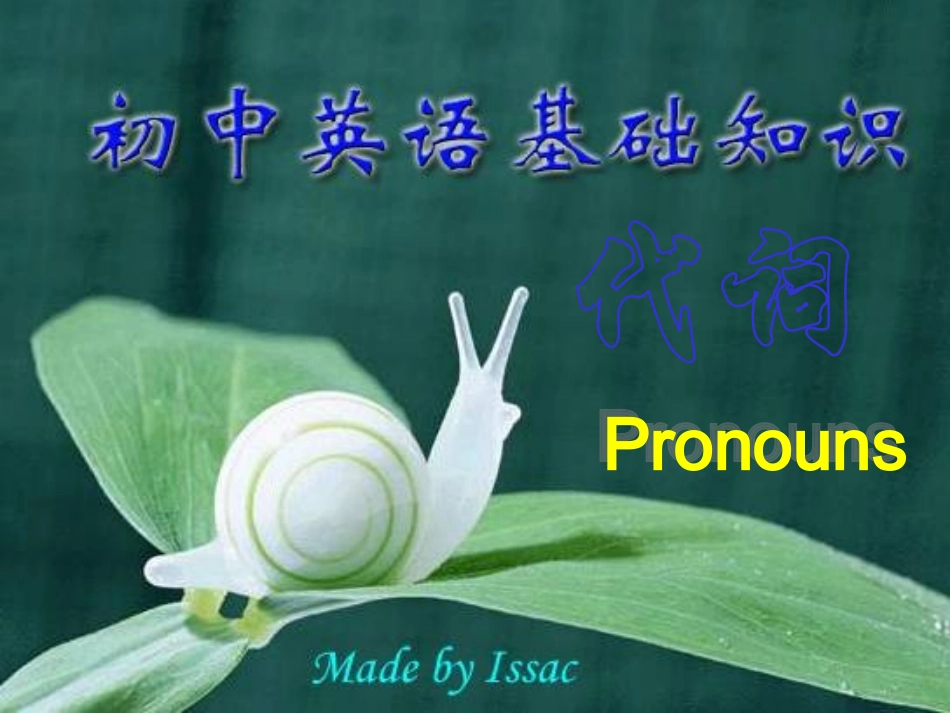 人教版初中英语代词复习课件1_第1页