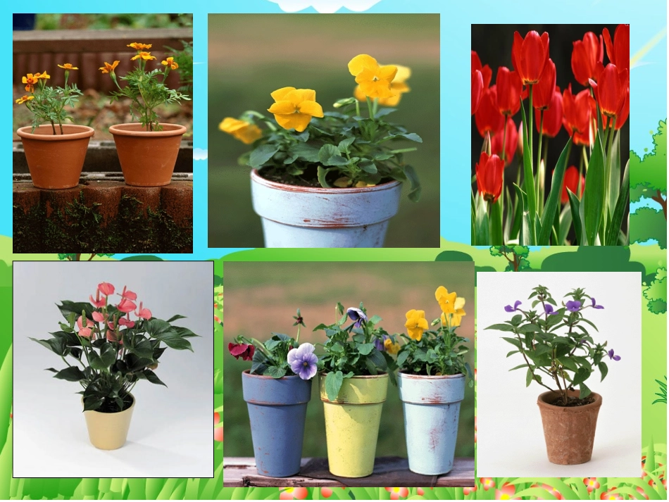 手捧空花盆的孩子（课件）_第2页