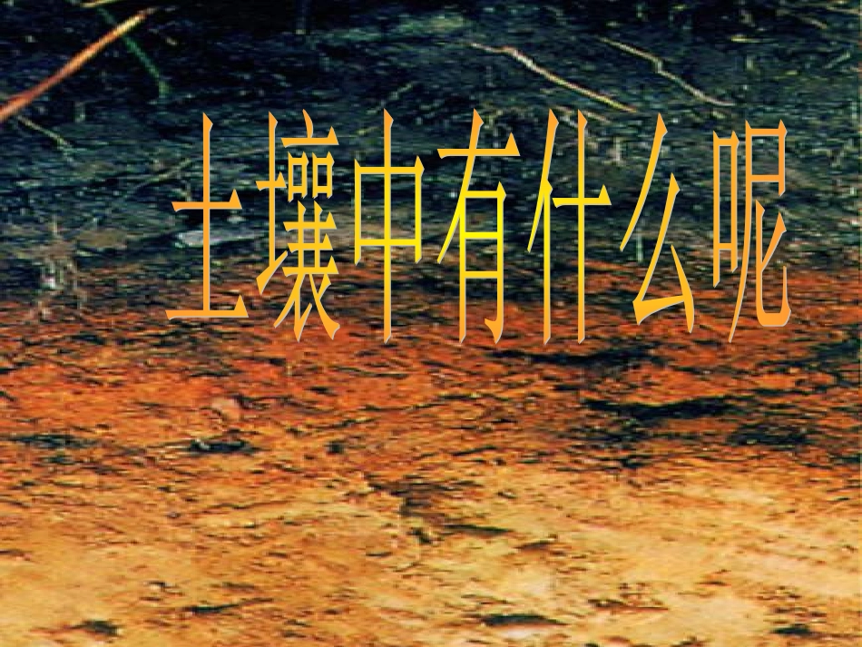 土壤中有什么 (3)_第2页