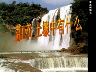 土壤中有什么 (3)