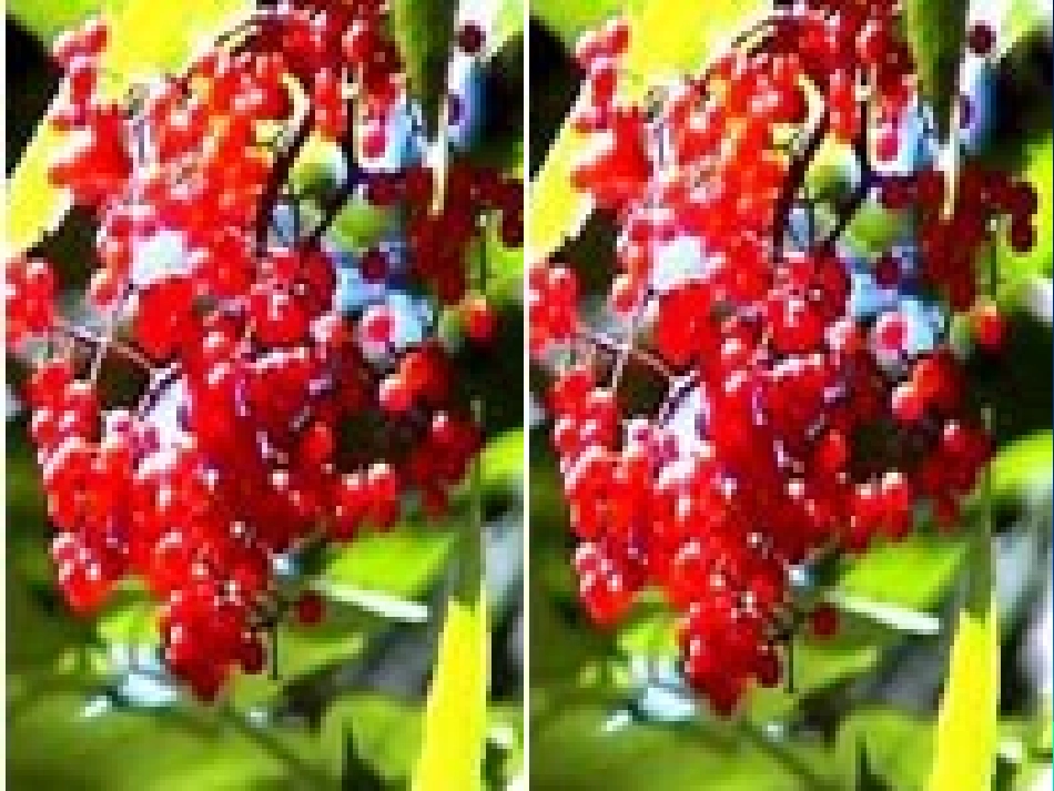 美丽的小兴安岭 ()_第3页