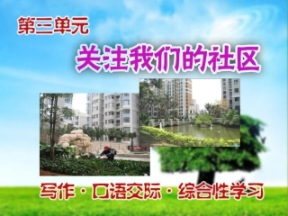 综合性学习关注我们的社区