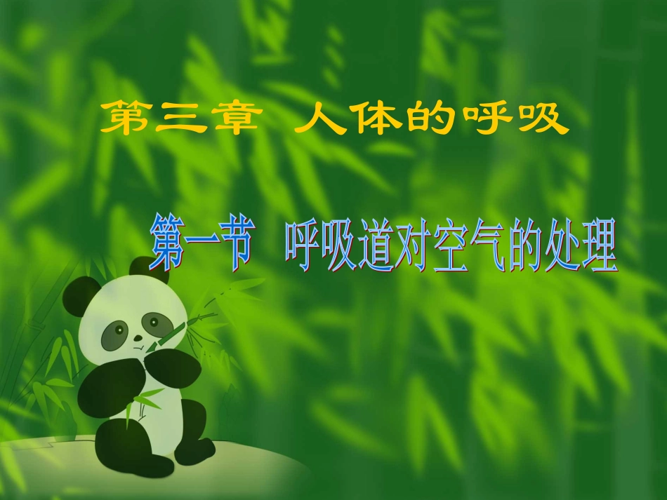 呼吸道对空气的处理2_第1页
