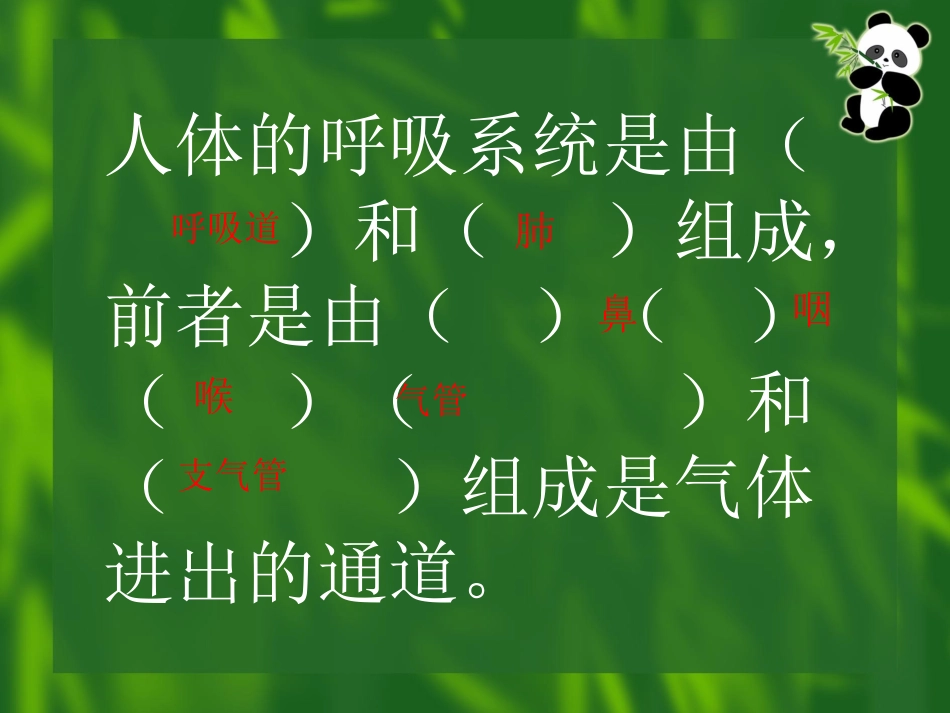 呼吸道对空气的处理2_第3页