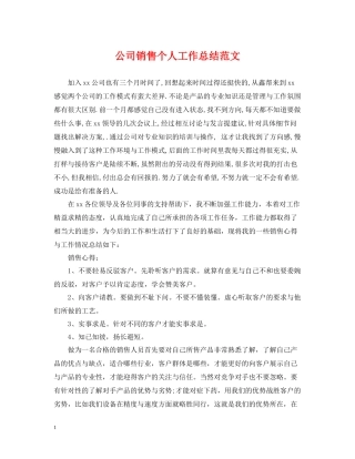 公司销售个人工作总结范文