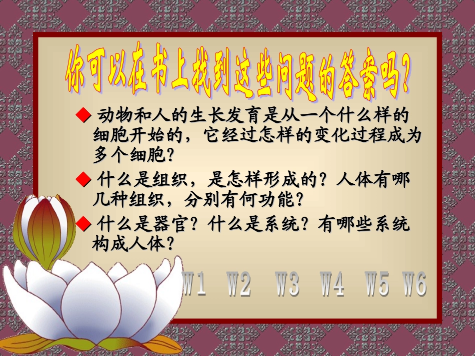 《动物体的结构层次》课件2_第2页