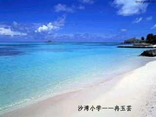 浅水洼里的小雨