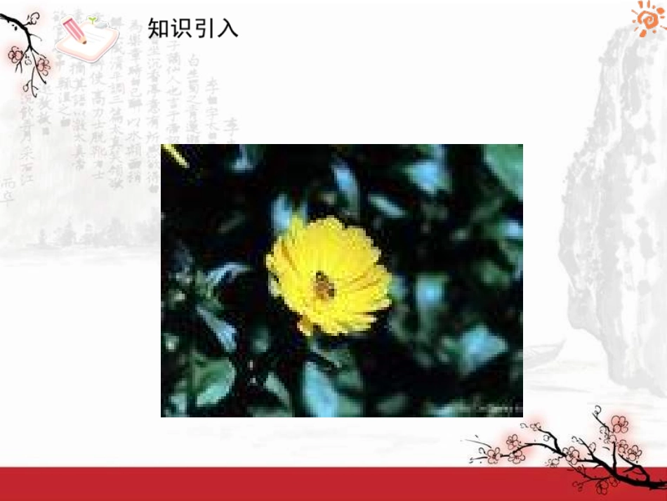 人教版语文九年级上册第10课孤独之旅1课件_第3页