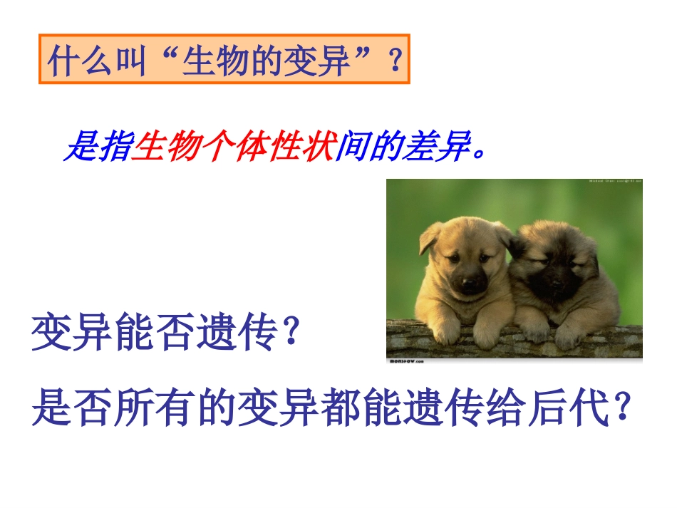 基因突变和基因重组_第2页