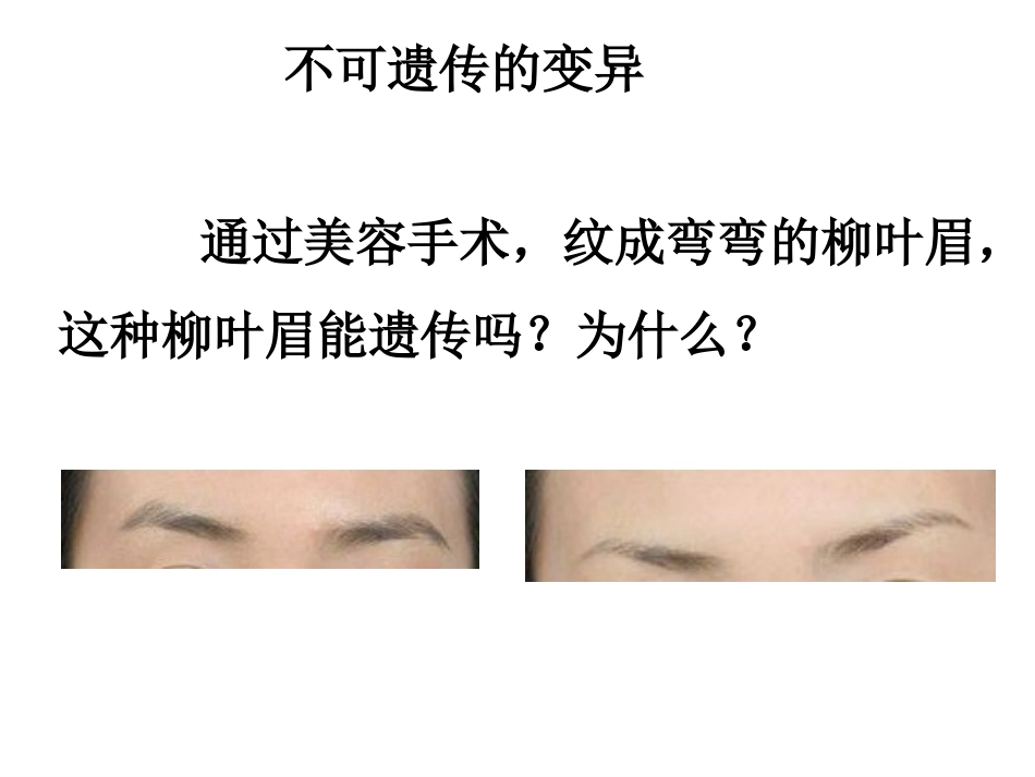 基因突变和基因重组_第3页