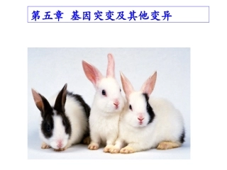 基因突变和基因重组