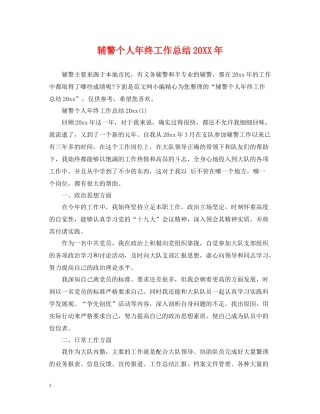 辅警个人年终工作总结