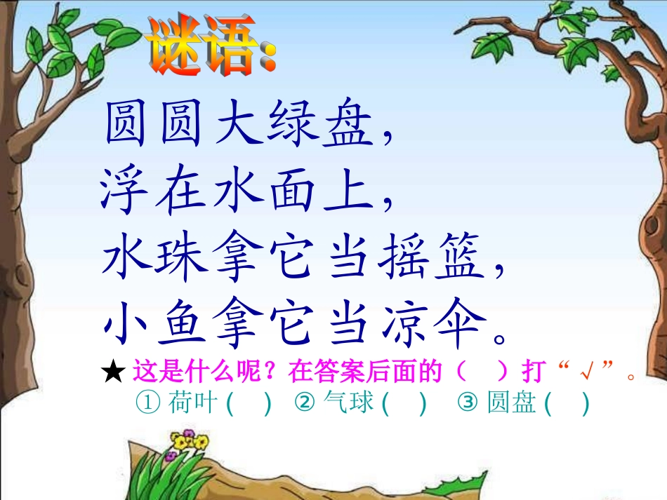 《荷叶圆圆》的教学课件_第2页