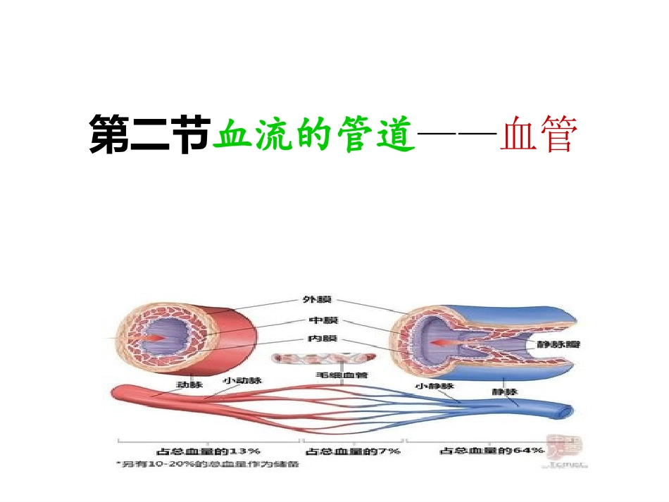 第二节血流的管道_第1页