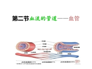 第二节血流的管道