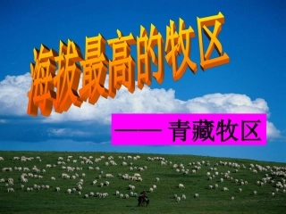 海拔最高的牧区