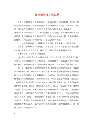 分公司年度工作总结