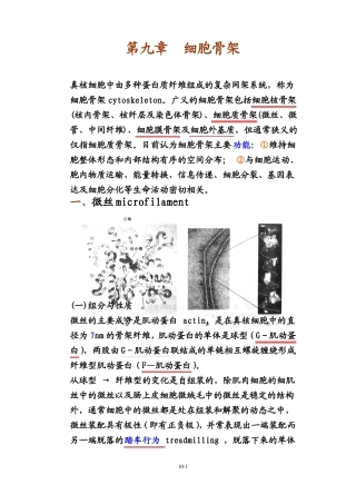 细胞生物学细胞骨架