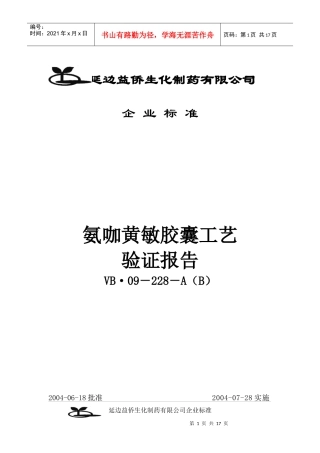 氨咖黄敏胶囊工艺验证报告