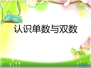 认识单数与双数