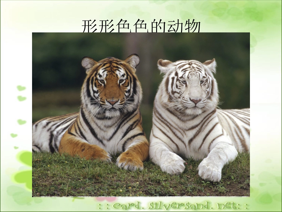 蚕卵里孵出的新生命(精改)[1]_(1)_第2页
