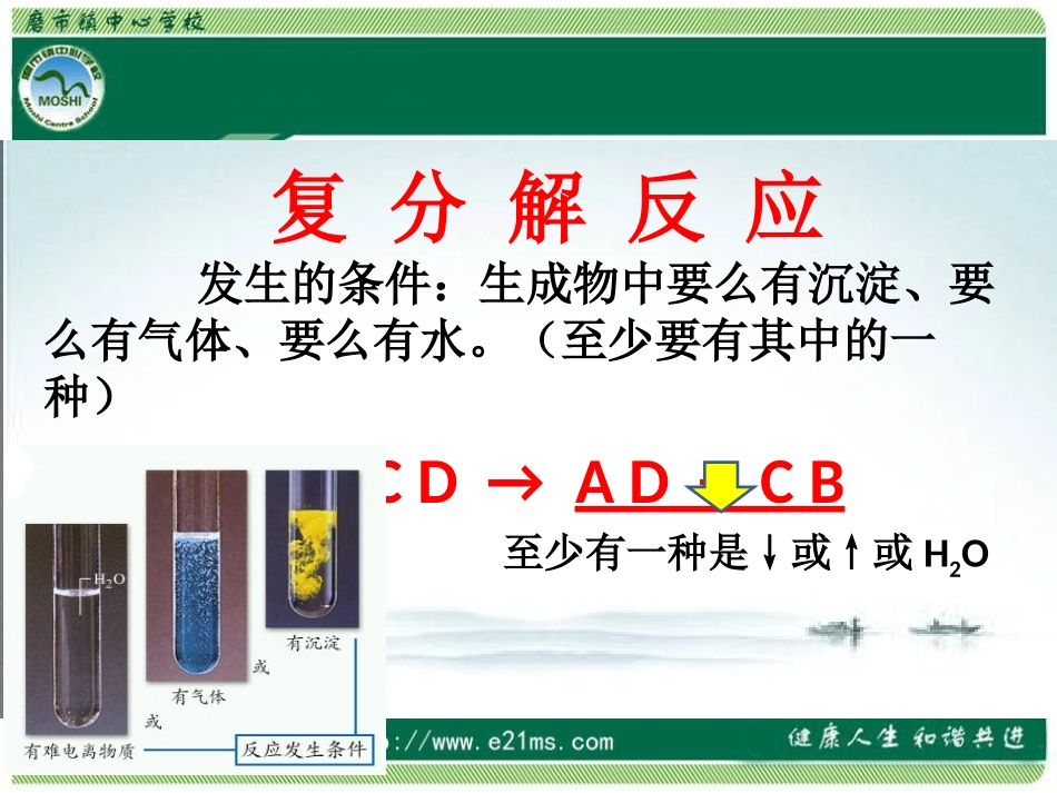 《复分解反应发生的条件》课件_第3页