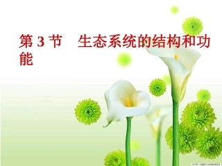 北师大版八下第23章第三节生态系统的结构和功能