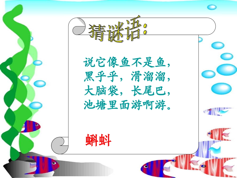 《小蝌蚪找妈妈》第一课时_第3页