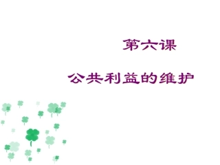 第六课_公共利益的维护_第一课时