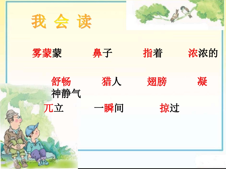 父亲、树林和鸟_第3页