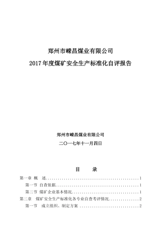 2017煤矿安全生产标准化自评报告
