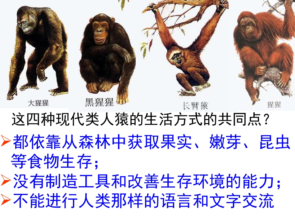 人类的起源和发展2_第3页