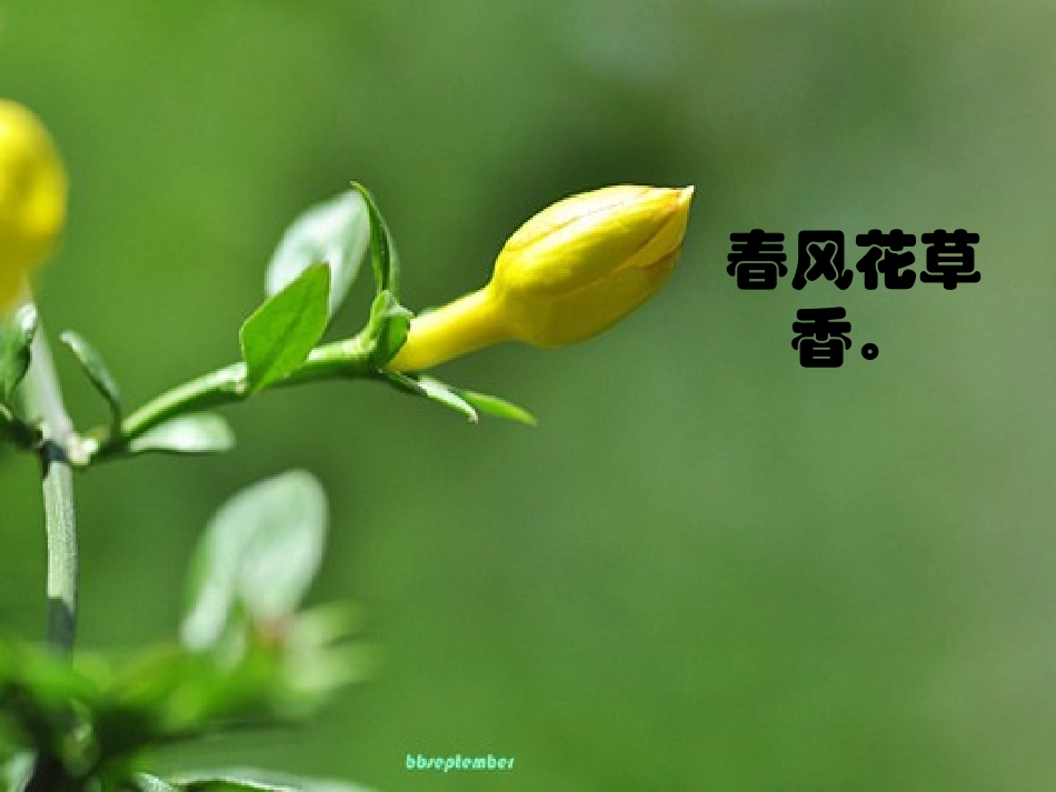 微课课件绝句_第3页