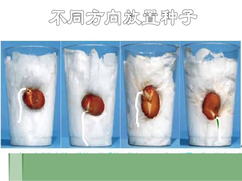 我们先看到了根_第3页