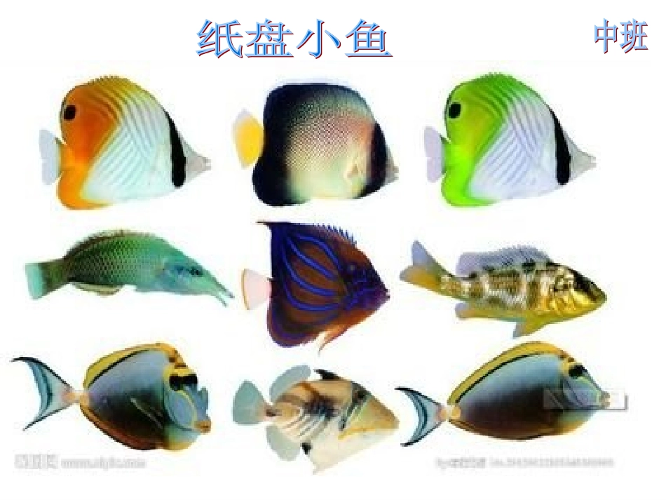 《纸盘小鱼》_第1页