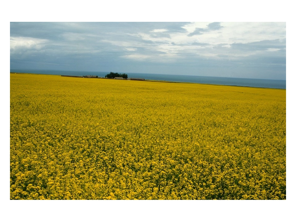 地球表面的地形_第1页