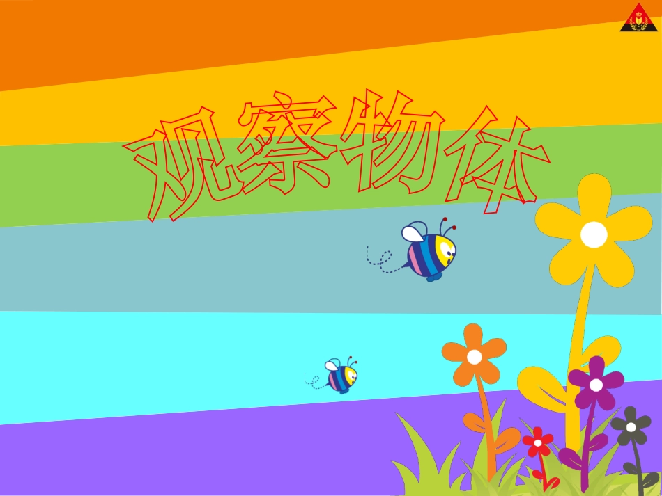 小学二年级第1课时观察物体（1）丛广义_第2页