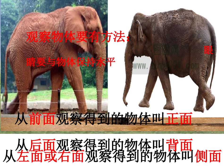 小学二年级第1课时观察物体（1）丛广义_第3页