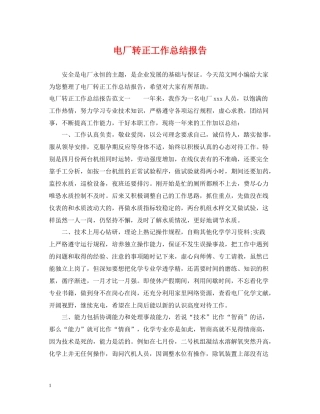 电厂转正工作总结报告
