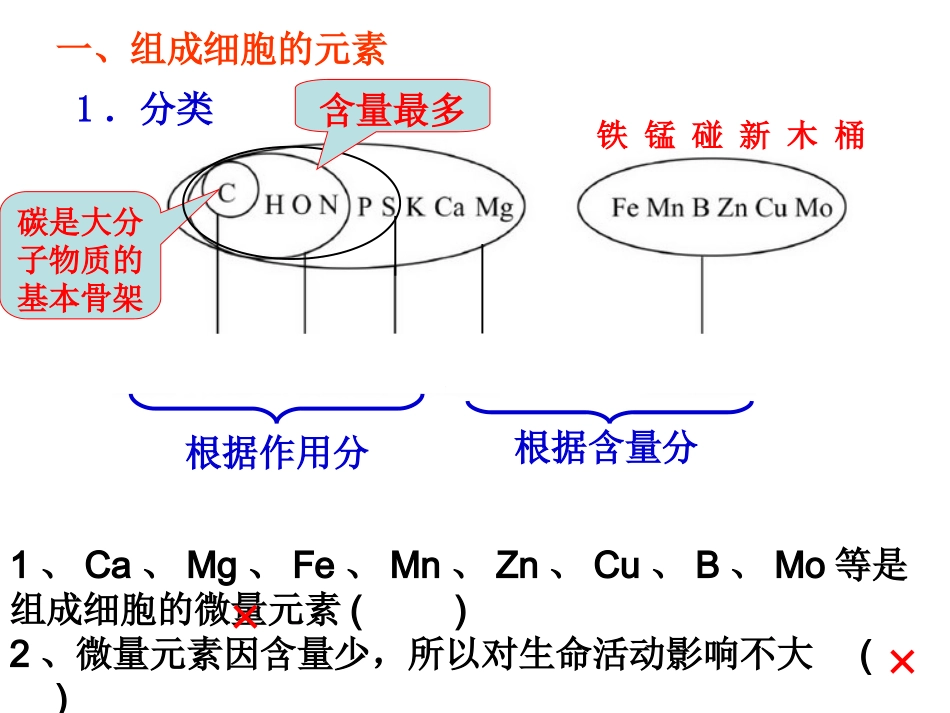 细胞中的元素和化合物一轮_第2页