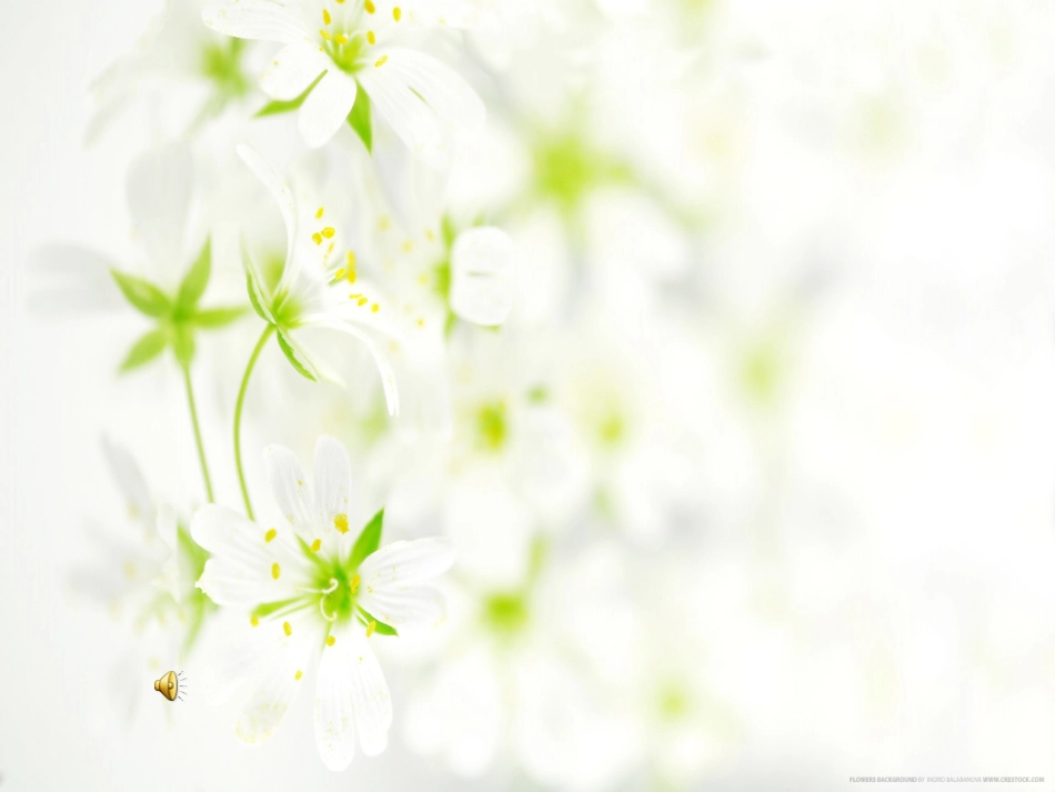 电子小助手课件_第1页