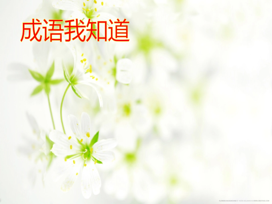 电子小助手课件_第3页