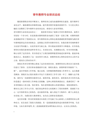 青年教师专业培训总结
