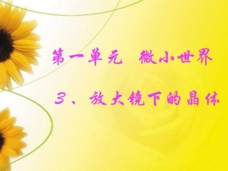 放大镜下的晶体