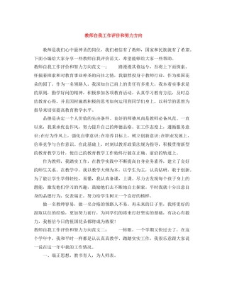 教师自我工作评价和努力方向
